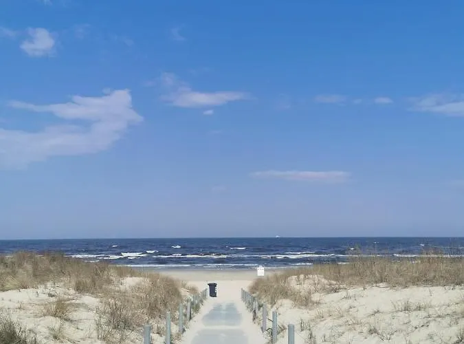 Adler- Waldseite * 제바트헤링스도르프